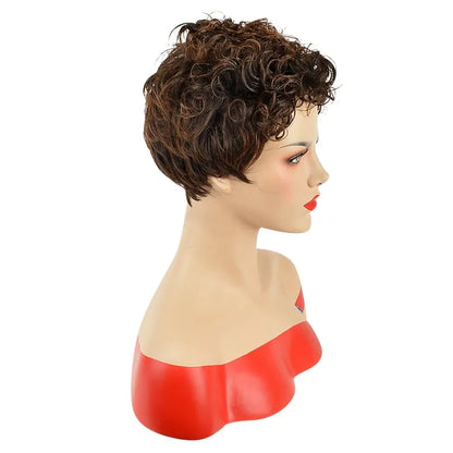 Top Quality Natural African American Hairstyle Short Curly Wig