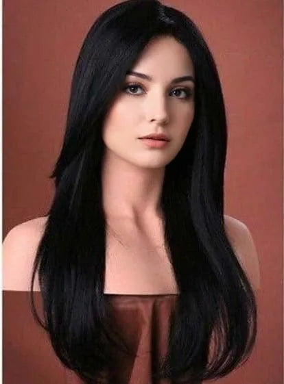 Glamorous Womens Hair Wig 100% Indian Human Hair Long Straight Black Lace Wig 20 Inches