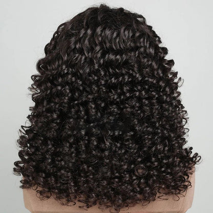 Natural Black Lace Front Fumi Curly Wavy Wigs